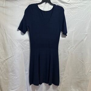 Ann Taylor Navy Knit Dress